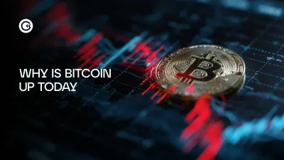 Why is Bitcoin up today?