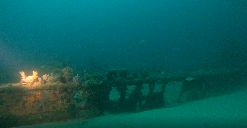 Iberdrola Australia uncovers a maritime mystery post image