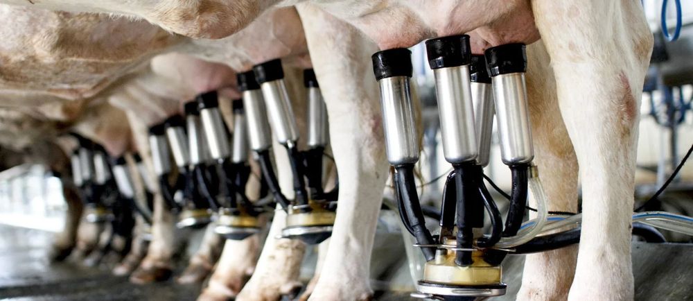 Albanese Government Under Fire Over EU Trade Deal Impact on Farmers post image