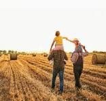 Future-proof your family farm business post image