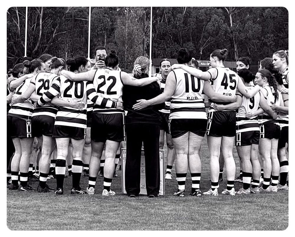 Wildcats women show they belong post image