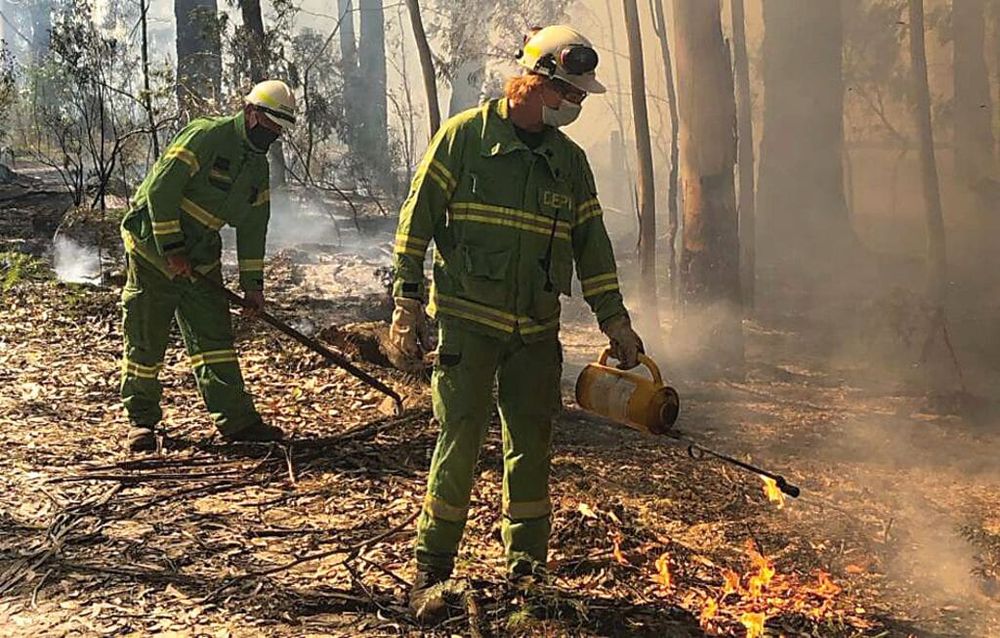 Forest firefighters help protect Victorian communities post image