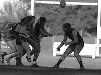 Wildcats show plenty of fight against reigning premiers post image