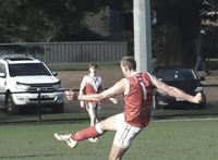 McDonald's Nine-Goal Haul Sinks Determined Demons post image