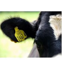 Farmers - Update your PIC for the new financial year post image