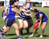 Wildcats Celebrate Milestone and NAIDOC Round in One-Sided Victory post image