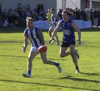 Wildcats Fall Agonisingly Short post image
