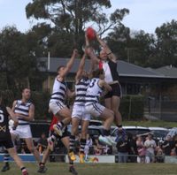 Cowwarr ends Wildcats’ reign with grand final triump post image