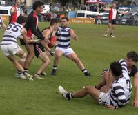 Wildcats chase historic reserves flag post image