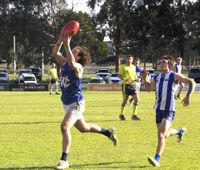 Wildcats storm into grand final post image