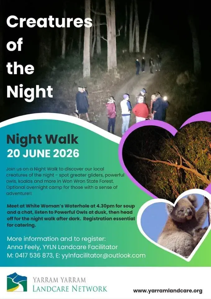 Won Wron State forest night walk post image