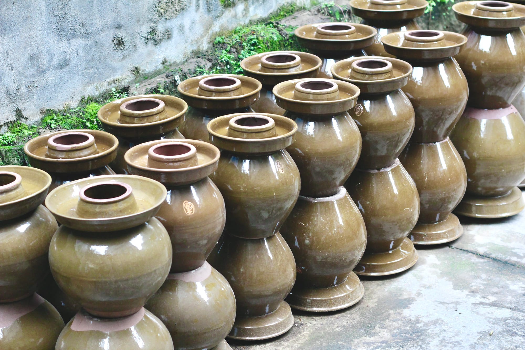 Two neatly organized rows of stacked 2' tall brown ceramic pickling jars.