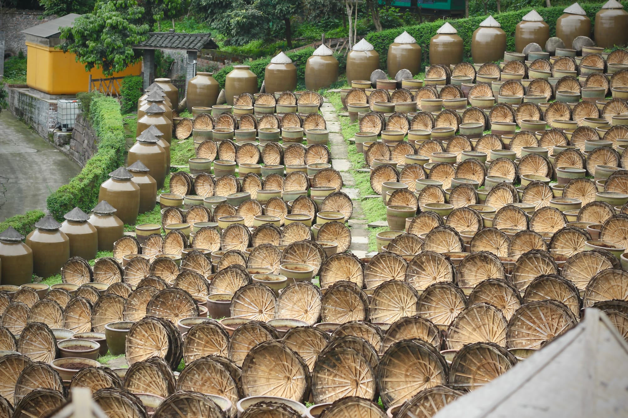 Row on row of bamboo lids lean against soy sauce urns.
