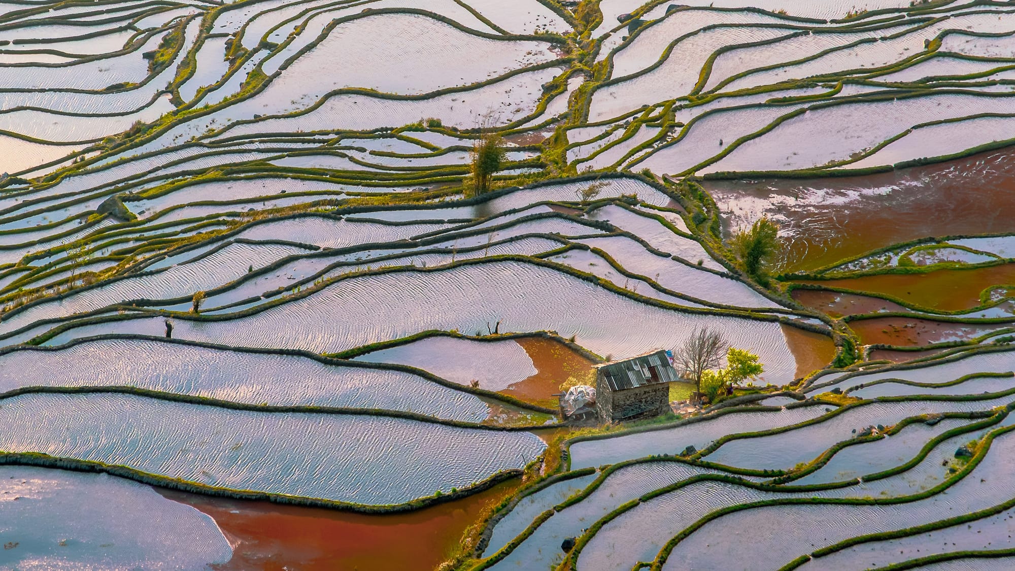 Intricate Hani rice terraces filled with water reflecting a silver sky cascading down the hill.