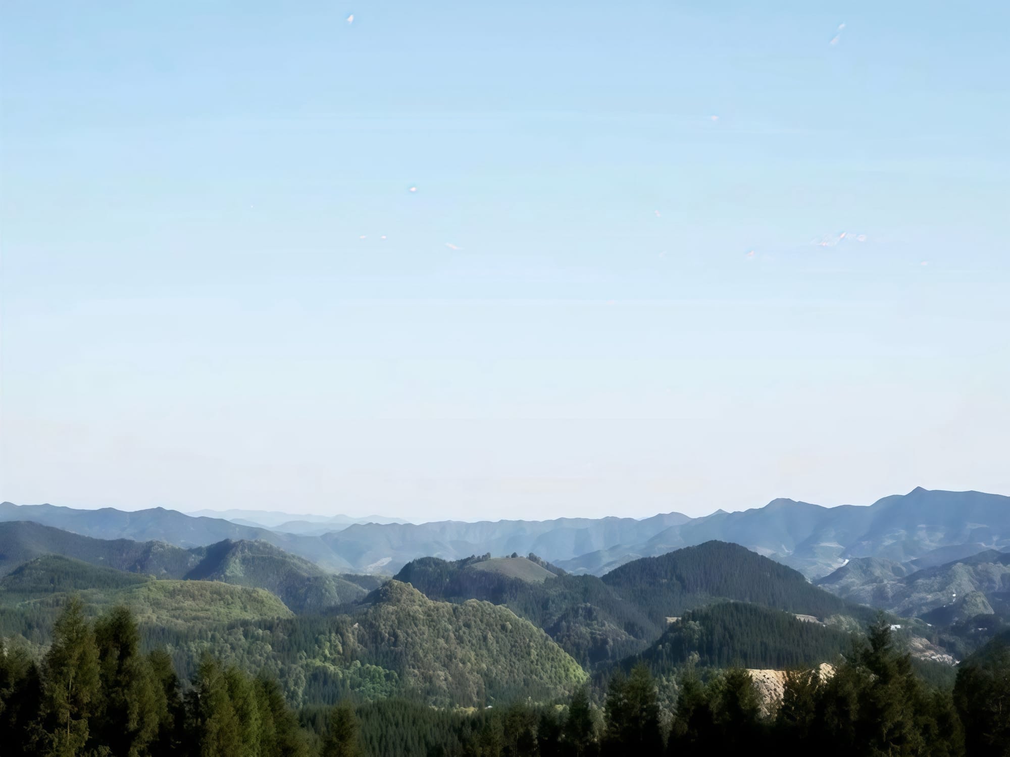 Rolling forested mountains as far as the eye can see sitting under blue skies.
