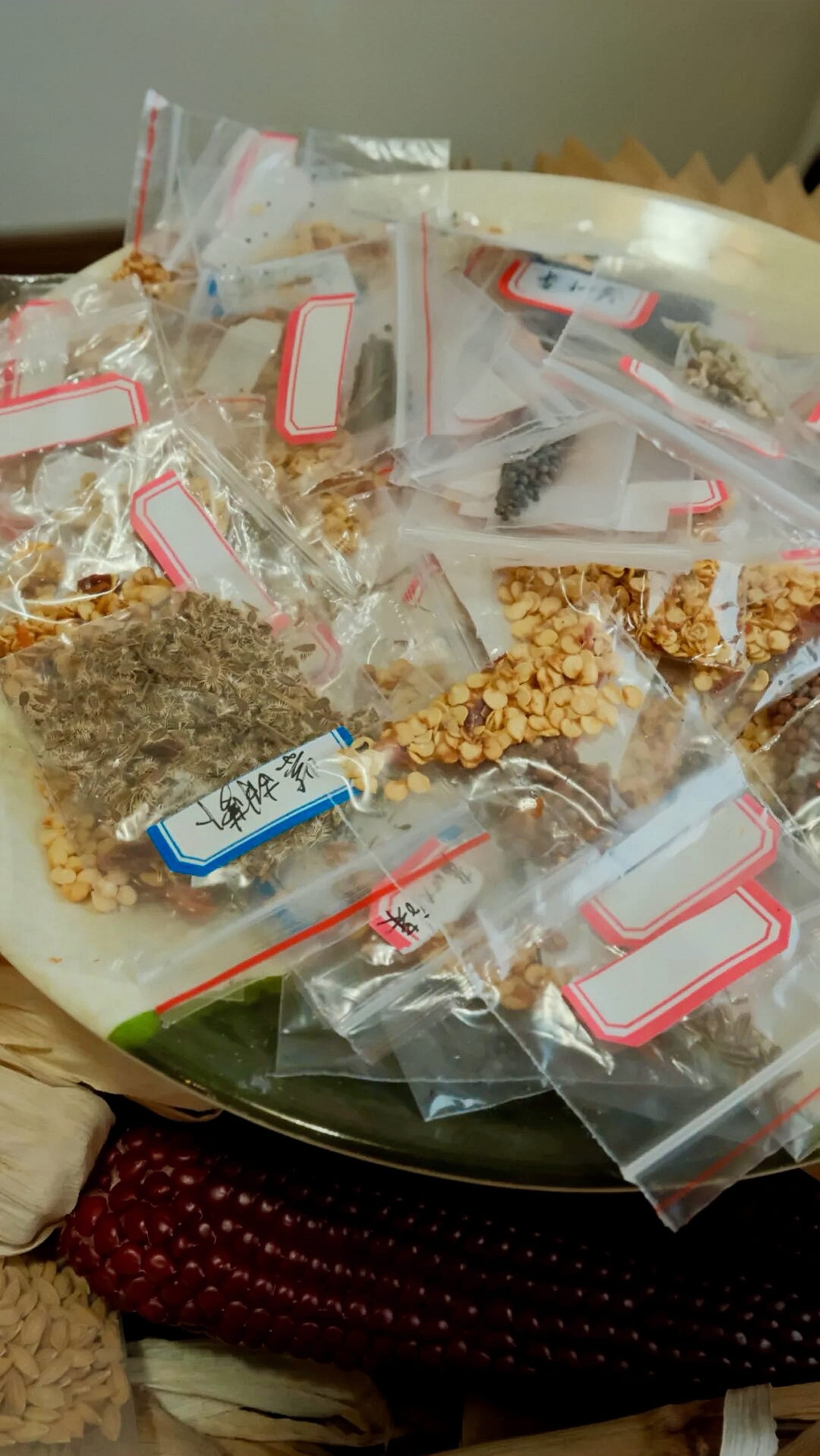 A close up collage of ziploc bags filled with various varieties of seeds for crops in China.