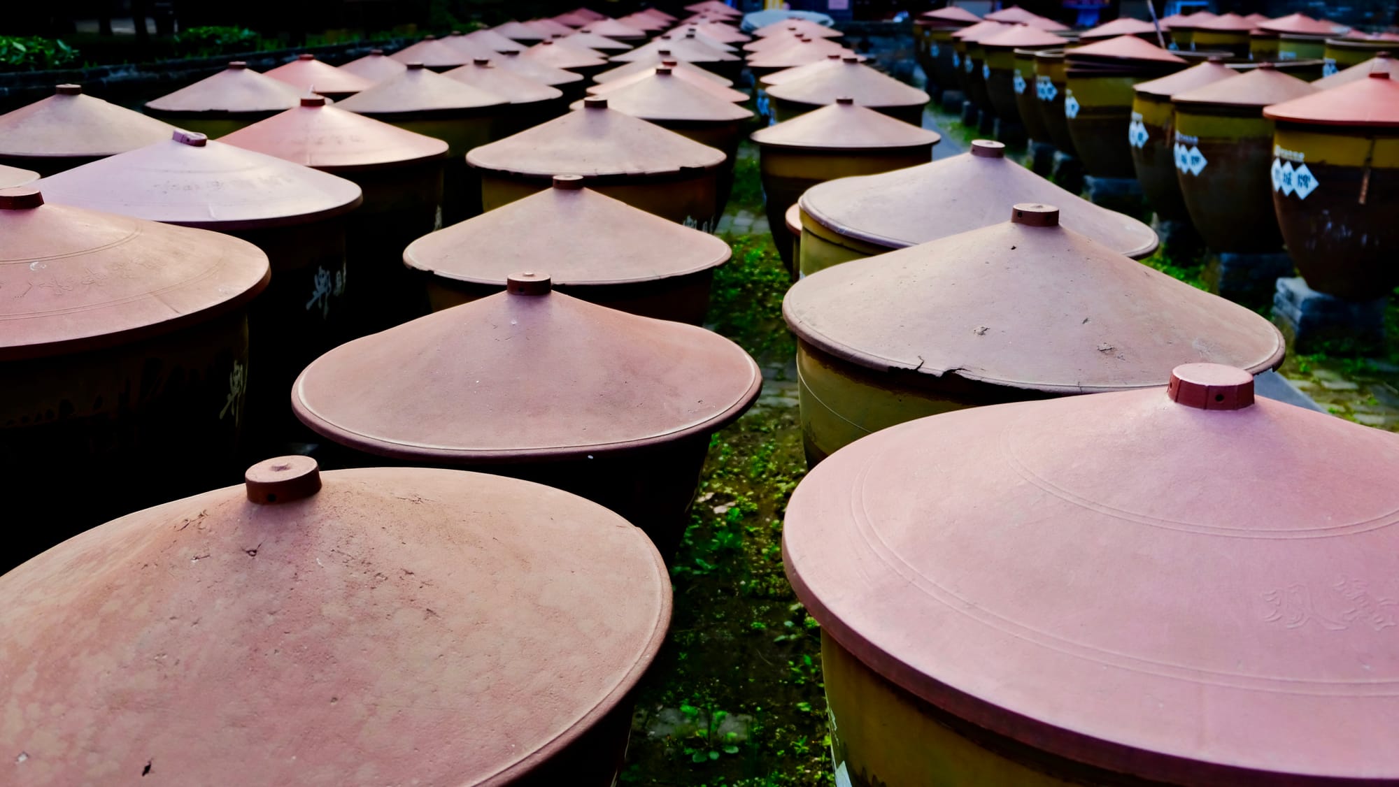 Doubanjiang urns in Chengdu’s Chuancai Museum sit row by row by row, their oriental style red clay hats on top.