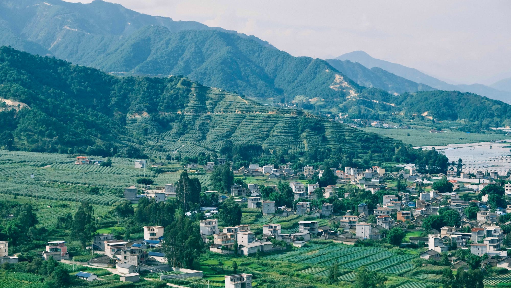 A view of the mountains that line a valley, covered in olive trees. Houses rest at the base of the mountains with farmland filling in the gaps in the valley.