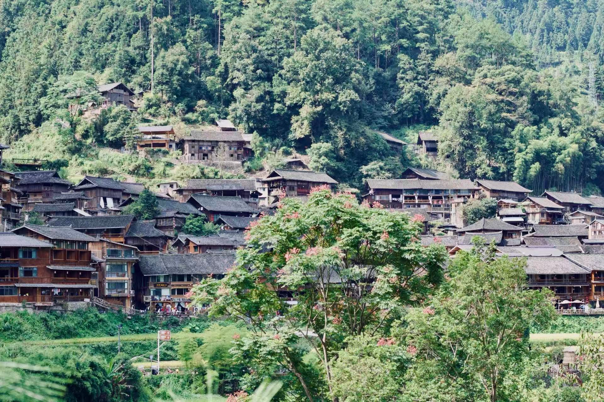 Traditional style wooden Miao buildings sit nestled on a lush green mountainside.