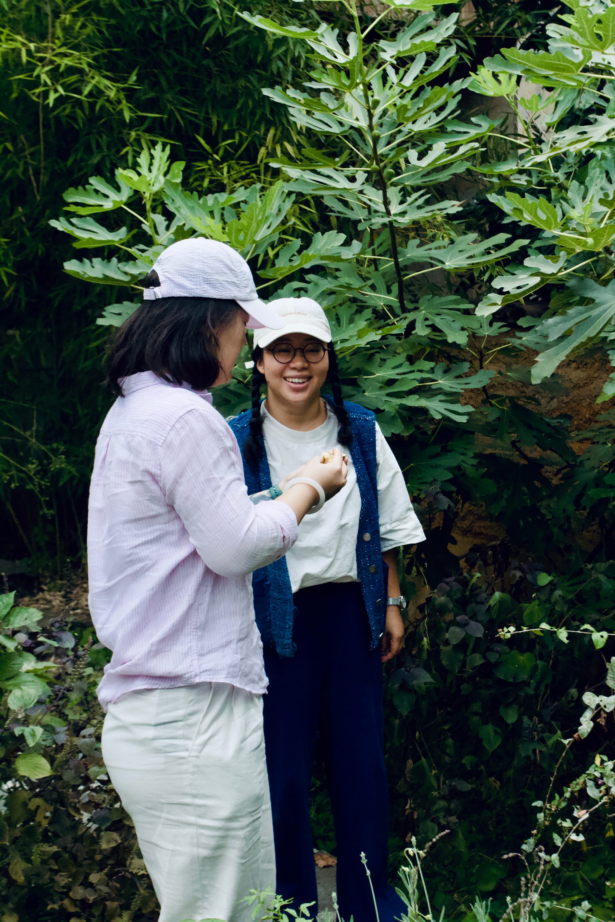 Two Chinese women standing under a fig tree, talking.