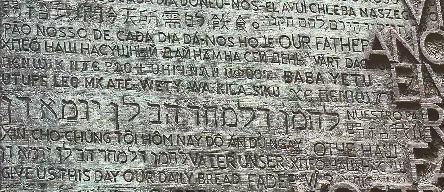 Snout & Seek - The Journey We Are On