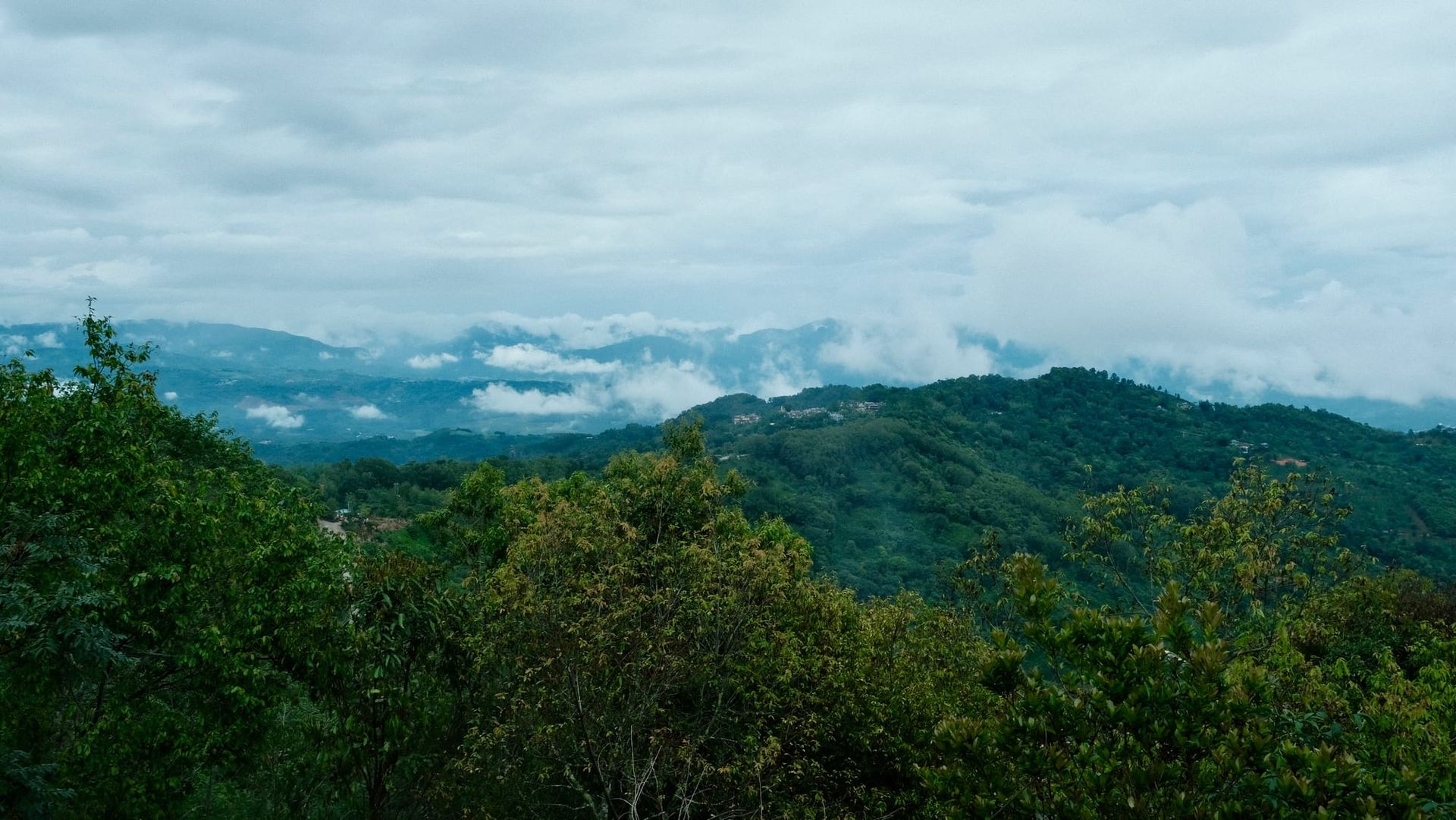 Jingmai mountain, covered in green trees with rolling wispy clouds in the sky.