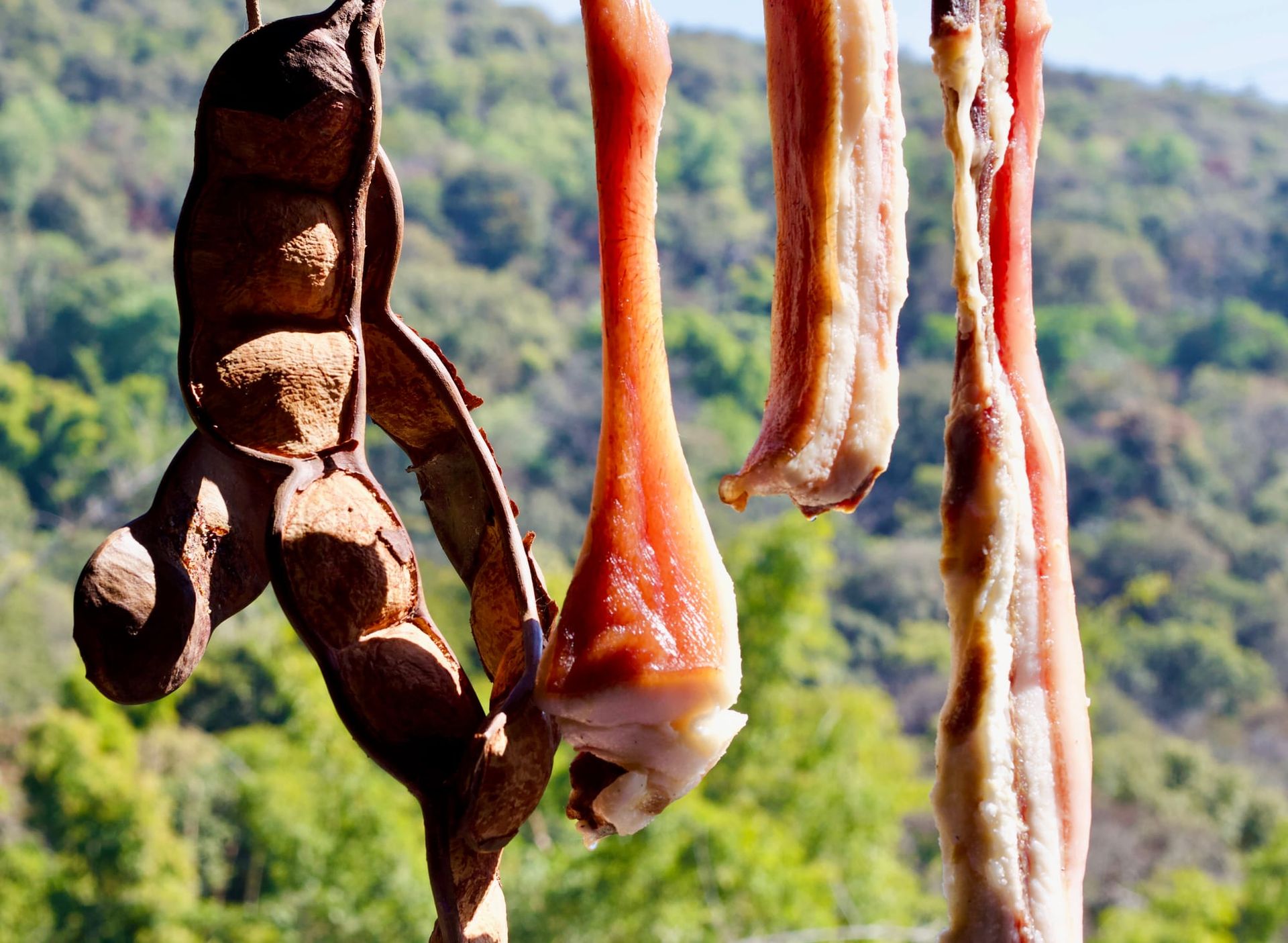 Everything can be dried in Yunnan