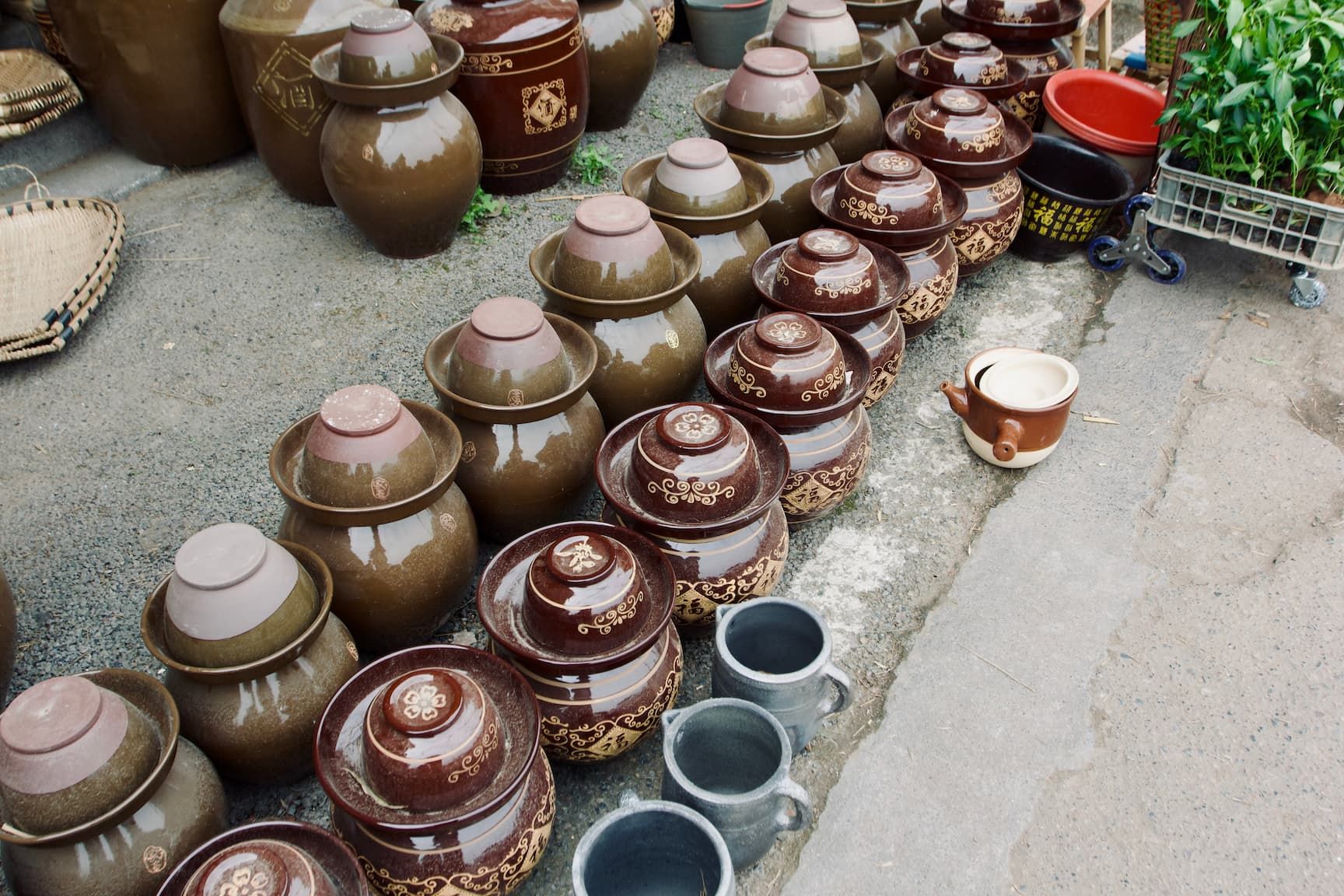 Two rows of small, 12'' brown ceramic pickling jars - one row is plain, the other has a decorative pattern painted on the side.