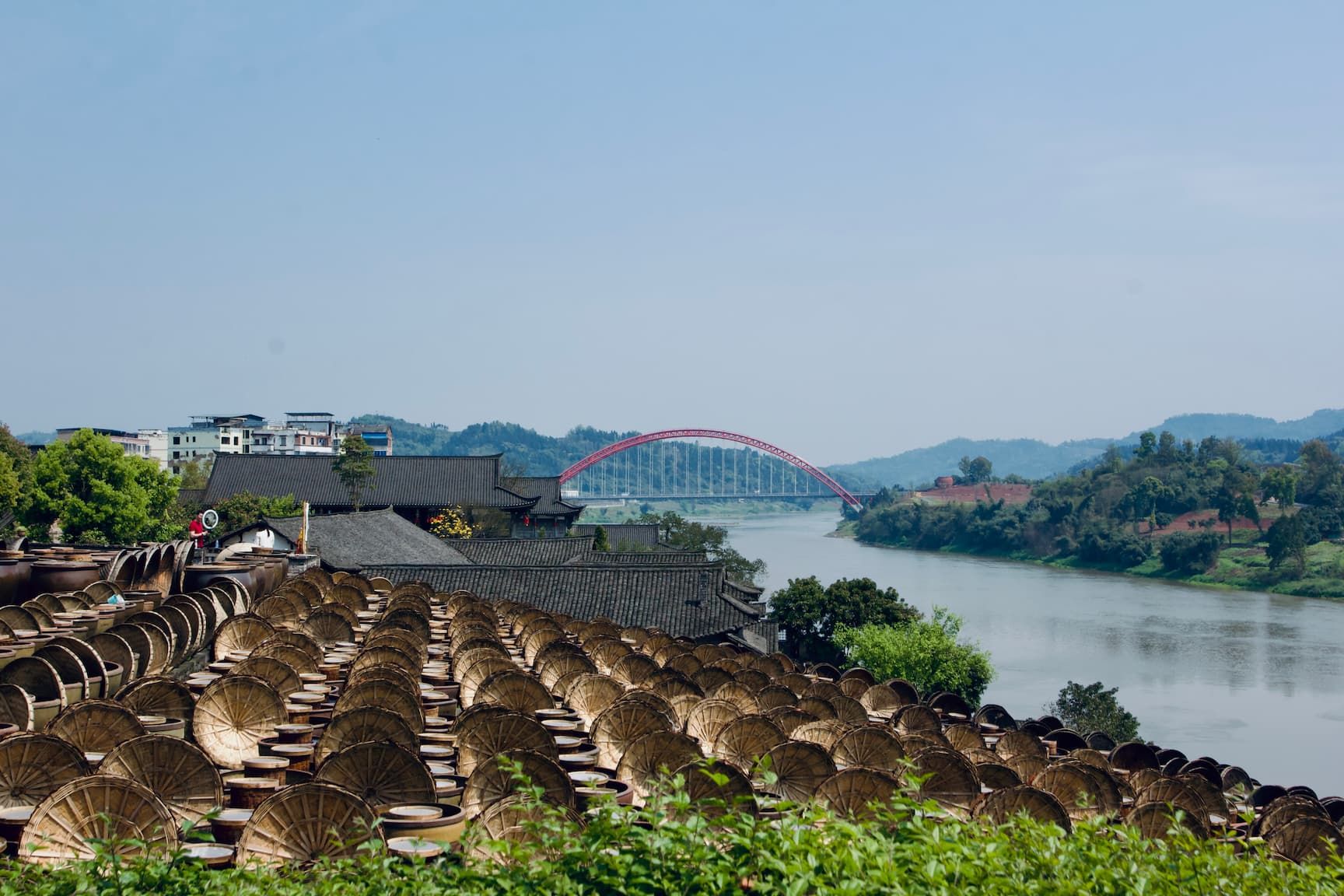 Dozens of rows of soy sauce fermentation urns line the river bank next to a wide green river, each urn has its bamboo lid overturned on its side, resembling a hat resting against the urns.