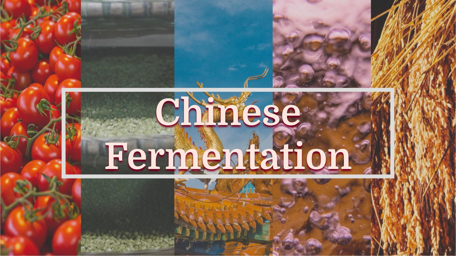 A mosaic of tomatoes, fermenting beans, Chinese architecture, and grains.