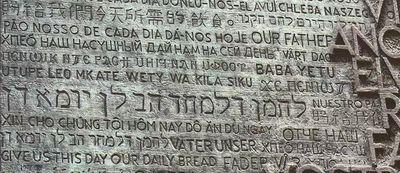 Snout & Seek - The Journey We Are On