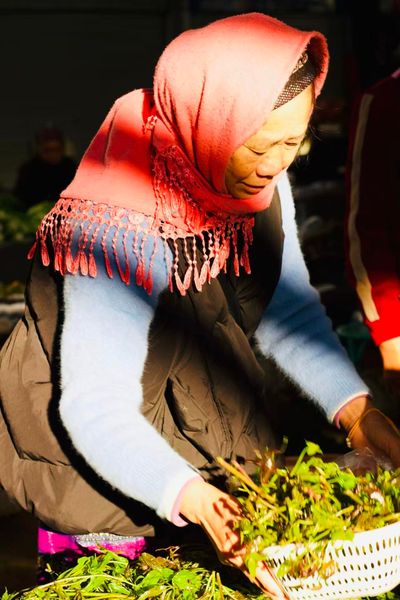 A local Yunnan farmer caught in the morning sun putting out her wears at a local market.