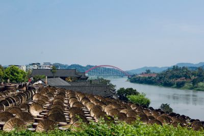 Dozens of rows of soy sauce fermentation urns line the river bank next to a wide green river, each urn has its bamboo lid overturned on its side, resembling a hat resting against the urns.