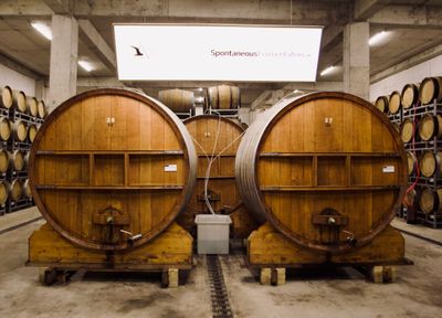 A large concrete storeroom stores racks containing wooden cask barrels with craft beer. In the center of the room, three 1-story tall wooden barrels sit on stilts.