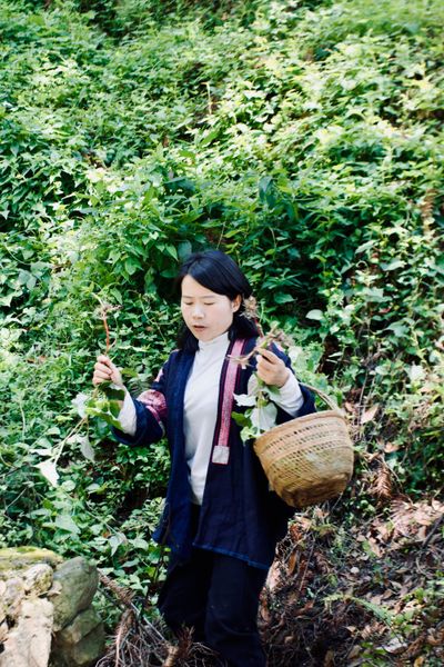 A young Chinese woman walks down a steel hillside in the mountains of Guizhou, carrying a bamboo basket and the plants she picked for food.