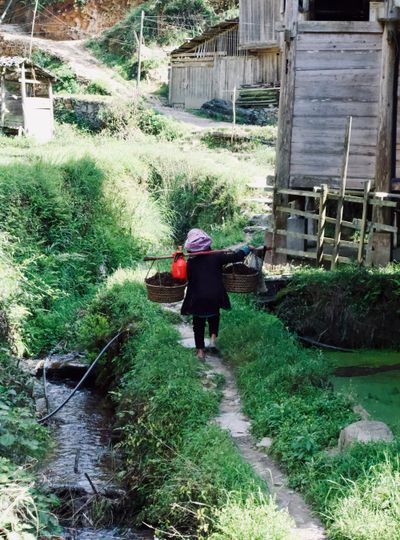 A small Dong woman carrying two baskets of soil and manure along a creekside path.