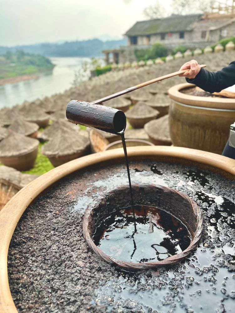 A bamboo ladle pours dark rich soy sauce back into the centre of a soy sauce fermentation urn from whence it came. 