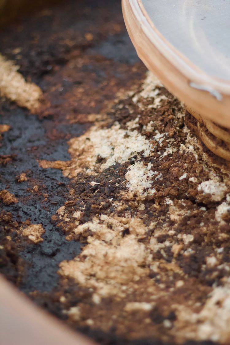 The top layer of soy beans during their fermentation process in a traditional ceramic jar.