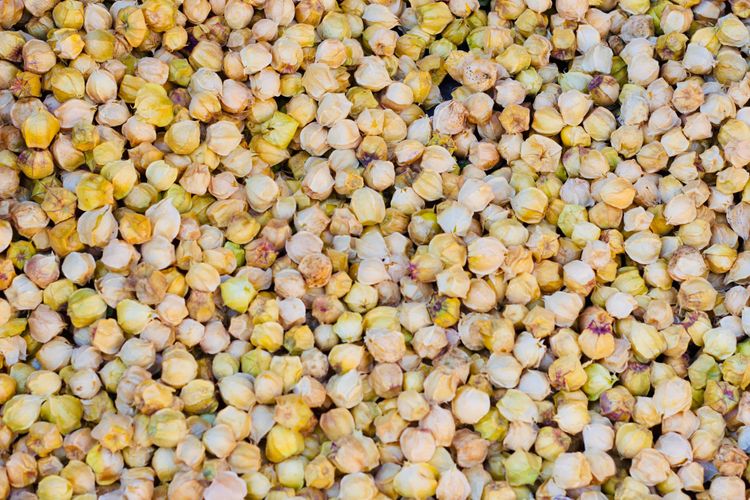 A basket of Gu Niang Guo (Ground Cherry)