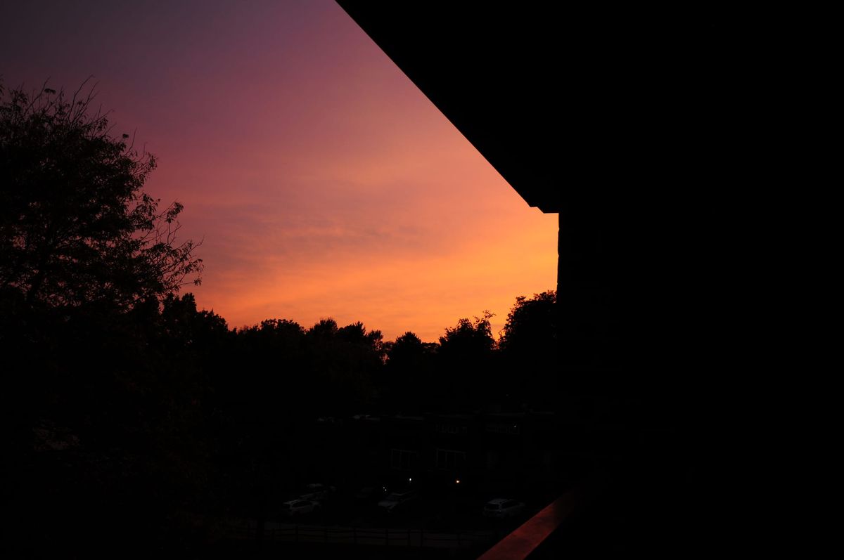 ...Leave Nothing But Footprints