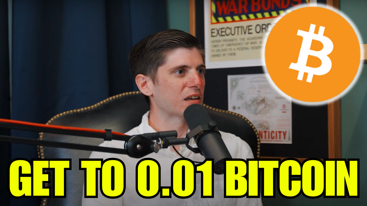 TFTC - Leisure, Magnificence & The Bitcoin Standard | Michael Goldstein