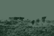 Onramp Launches a Global Bitcoin Asset Management Platform Built on Multi-Institution Custody