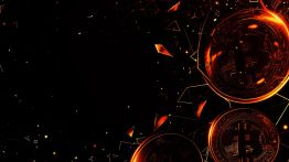 Issue #701: Update on fidelity bonds