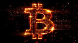 Issue #755: Bitcoin will bring back value investing