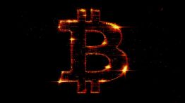 Issue #747: The UX improves