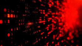 Issue #801: Bitcoin users are being targeted on Tor