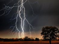 Issue #667: Lightning Channel Breakdown