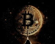 Issue #518: Bitcoin "maximalism" is descriptive