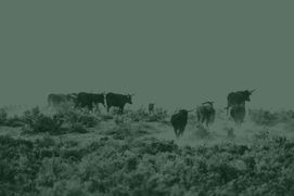 Onramp Launches a Global Bitcoin Asset Management Platform Built on Multi-Institution Custody