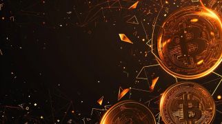 Issue #500: 500 days of Bitcoin